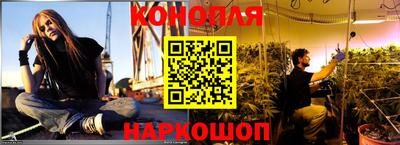 скорость Новозыбков