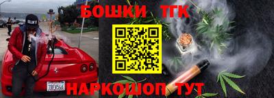 скорость Новозыбков