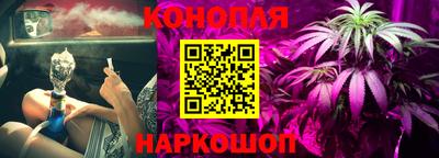 мяу мяу мука Новодвинск