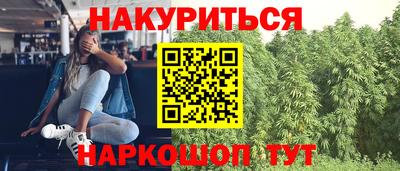 скорость Новозыбков