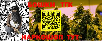 скорость Новозыбков