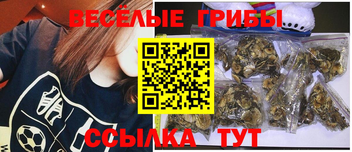 Псилоцибиновые грибы Cubensis Славгород