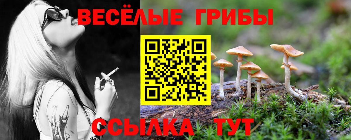 наркота  Галлюциногенные грибы мухоморы  Вход с VPN  Славгород 
